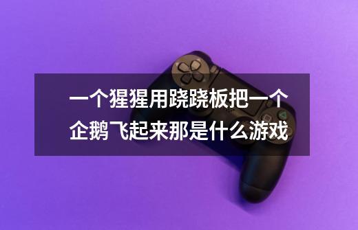 一个猩猩用跷跷板把一个企鹅飞起来那是什么游戏-第1张-游戏信息-龙启网
