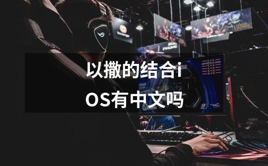 以撒的结合iOS有中文吗-第1张-游戏信息-龙启网