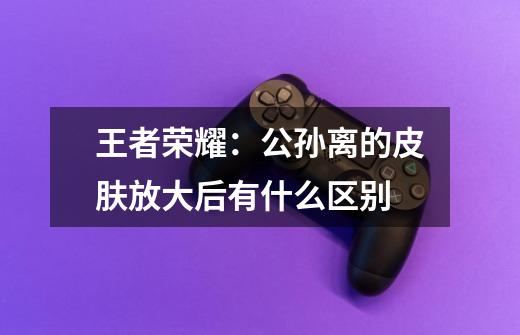 王者荣耀:公孙离的皮肤放大后有什么区别-第1张-游戏信息-龙启网
