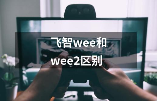 飞智wee和wee2区别-第1张-游戏信息-龙启网