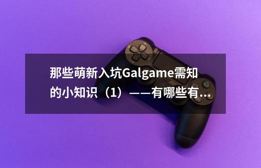 那些萌新入坑Galgame需知的小知识(1)——有哪些有名的会社(上)-第1张-游戏信息-龙启网