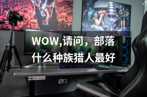 WOW,请问,部落什么种族猎人最好-第1张-游戏信息-龙启网