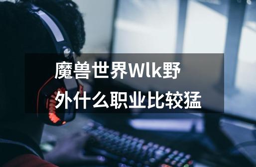 魔兽世界Wlk野外什么职业比较猛-第1张-游戏信息-龙启网