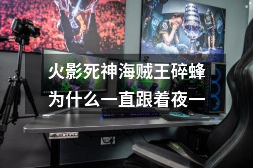 火影死神海贼王碎蜂为什么一直跟着夜一-第1张-游戏信息-龙启网