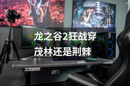 龙之谷2狂战穿茂林还是荆棘-第1张-游戏信息-龙启网