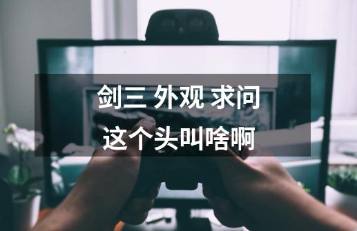 剑三 外观 求问 这个头叫啥啊-第1张-游戏信息-龙启网