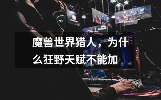 魔兽世界猎人,为什么狂野天赋不能加-第1张-游戏信息-龙启网