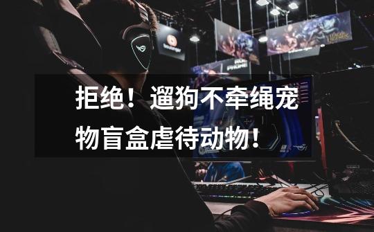 拒绝!遛狗不牵绳宠物盲盒虐待动物!-第1张-游戏信息-龙启网