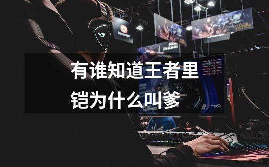 有谁知道王者里铠为什么叫爹-第1张-游戏信息-龙启网
