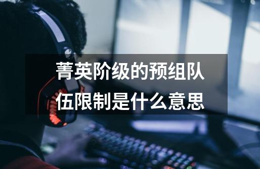 菁英阶级的预组队伍限制是什么意思-第1张-游戏信息-龙启网