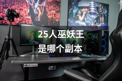 25人巫妖王是哪个副本-第1张-游戏信息-龙启网
