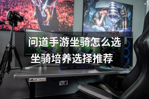问道手游坐骑怎么选 坐骑培养选择推荐-第1张-游戏信息-龙启网
