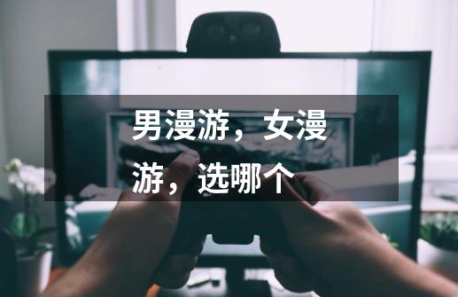 男漫游,女漫游,选哪个-第1张-游戏信息-龙启网