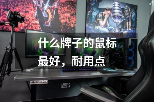 什么牌子的鼠标最好,耐用点-第1张-游戏信息-龙启网