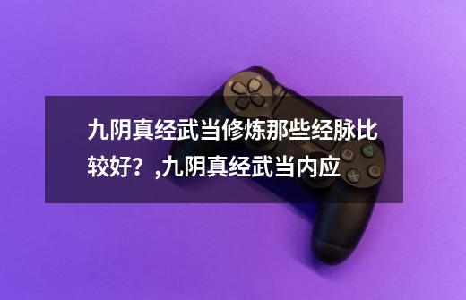 九阴真经武当修炼那些经脉比较好?,九阴真经武当内应-第1张-游戏信息-龙启网