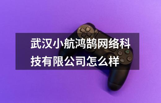 武汉小航鸿鹄网络科技有限公司怎么样-第1张-游戏信息-龙启网