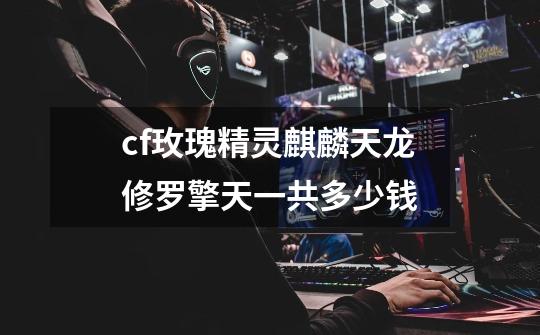 cf玫瑰精灵麒麟天龙修罗擎天一共多少钱-第1张-游戏信息-龙启网