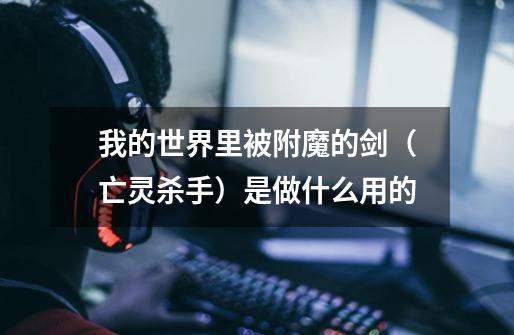 我的世界里被附魔的剑（亡灵杀手）是做什么用的-第1张-游戏信息-龙启网