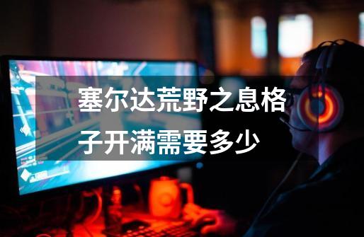 塞尔达荒野之息格子开满需要多少-第1张-游戏信息-龙启网