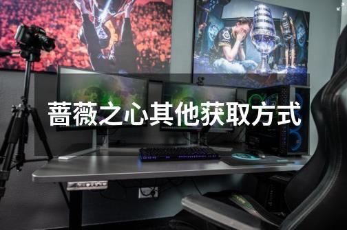 蔷薇之心其他获取方式-第1张-游戏信息-龙启网