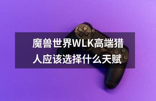魔兽世界WLK高端猎人应该选择什么天赋-第1张-游戏信息-龙启网