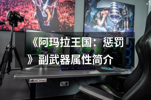 《阿玛拉王国:惩罚》副武器属性简介-第1张-游戏信息-龙启网