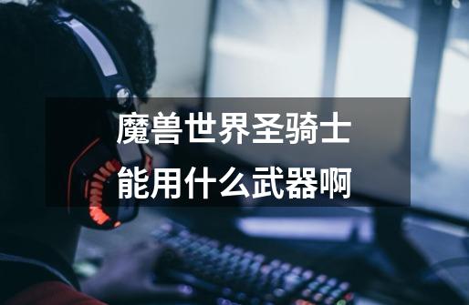 魔兽世界圣骑士能用什么武器啊-第1张-游戏信息-龙启网