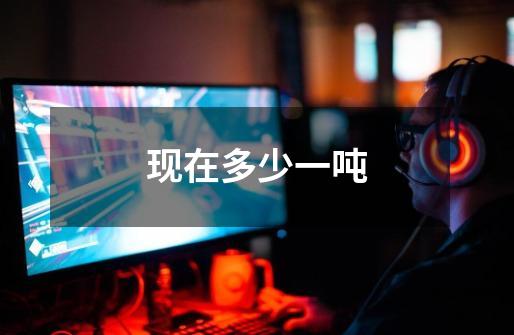 现在多少一吨-第1张-游戏信息-龙启网