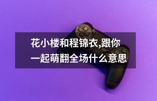 花小楼和程锦衣,跟你一起萌翻全场什么意思-第1张-游戏信息-龙启网