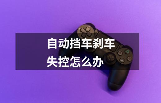 自动挡车刹车失控怎么办-第1张-游戏信息-龙启网