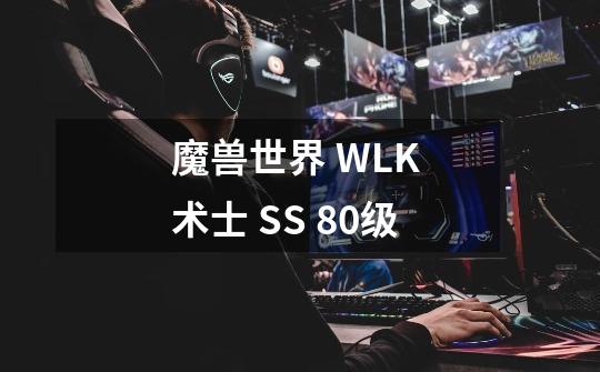 魔兽世界 WLK 术士 SS 80级-第1张-游戏信息-龙启网