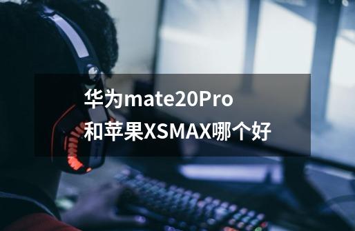 华为mate20Pro和苹果XSMAX哪个好-第1张-游戏信息-龙启网