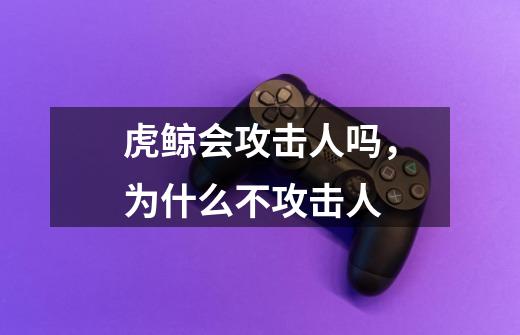 虎鲸会攻击人吗,为什么不攻击人-第1张-游戏信息-龙启网