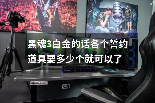 黑魂3白金的话各个誓约道具要多少个就可以了-第1张-游戏信息-龙启网