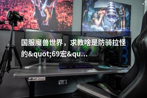 国服魔兽世界,求教啥是防骑拉怪的"69宏"-第1张-游戏信息-龙启网