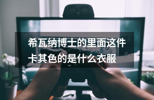 希瓦纳博士的里面这件卡其色的是什么衣服-第1张-游戏信息-龙启网