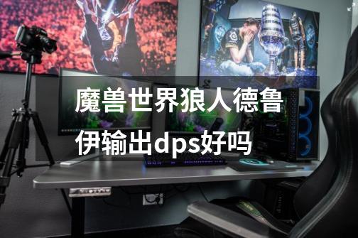 魔兽世界狼人德鲁伊输出dps好吗-第1张-游戏信息-龙启网