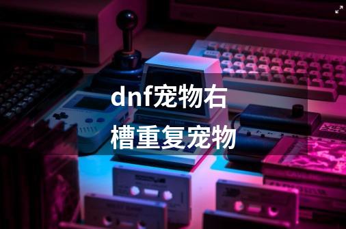 dnf宠物右槽重复宠物-第1张-游戏信息-龙启网