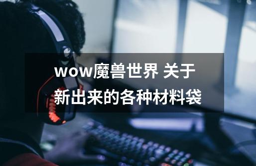 wow魔兽世界 关于新出来的各种材料袋-第1张-游戏信息-龙启网