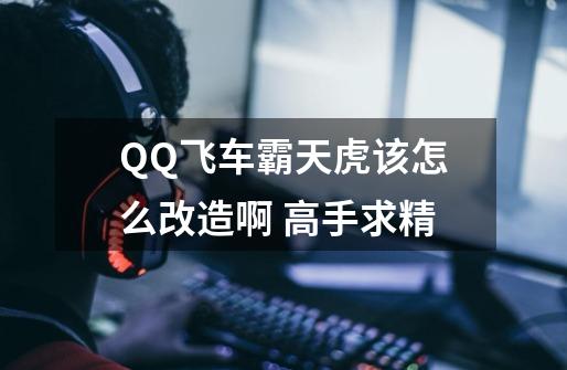 QQ飞车霸天虎该怎么改造啊 高手求精-第1张-游戏信息-龙启网