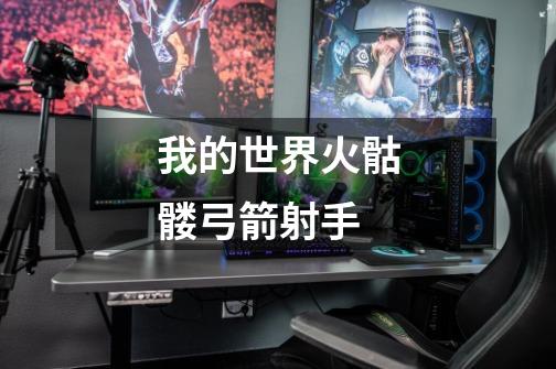 我的世界火骷髅弓箭射手-第1张-游戏信息-龙启网