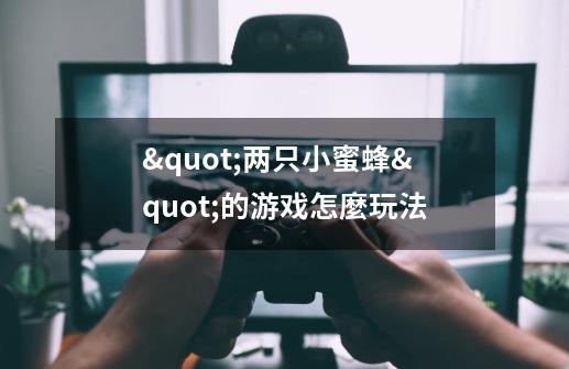"两只小蜜蜂"的游戏怎麼玩法-第1张-游戏信息-龙启网