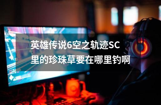 英雄传说6空之轨迹SC里的珍珠草要在哪里钓啊-第1张-游戏信息-龙启网