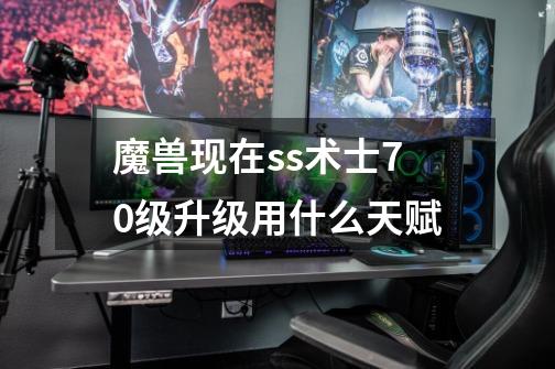 魔兽现在ss术士70级升级用什么天赋-第1张-游戏信息-龙启网