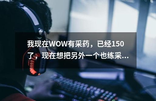 我现在WOW有采药,已经150了,现在想把另外一个也练采集,练采矿还是剥皮啊-第1张-游戏信息-龙启网