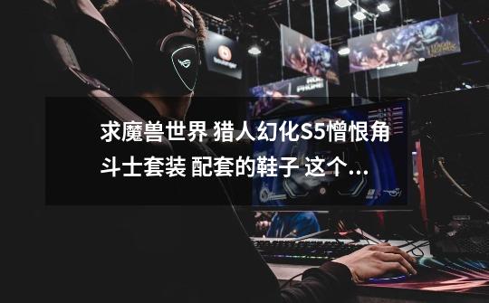 求魔兽世界 猎人幻化S5憎恨角斗士套装 配套的鞋子 这个套装没鞋子郁闷了 找了很多都不配套 求幻化高手指点-第1张-游戏信息-龙启网
