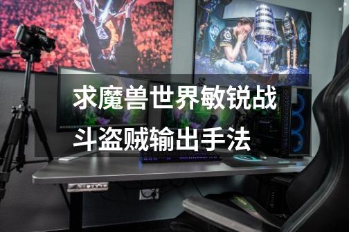 求魔兽世界敏锐战斗盗贼输出手法-第1张-游戏信息-龙启网