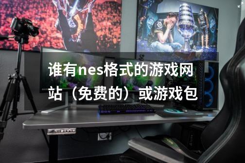 谁有nes格式的游戏网站（免费的）或游戏包-第1张-游戏信息-龙启网