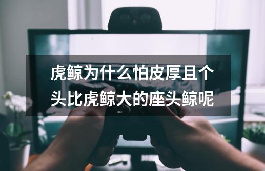虎鲸为什么怕皮厚且个头比虎鲸大的座头鲸呢-第1张-游戏信息-龙启网
