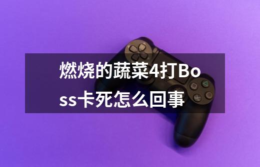 燃烧的蔬菜4打Boss卡死怎么回事-第1张-游戏信息-龙启网